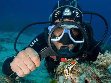 Diver looking with a magnifying glass at a pajama star snail