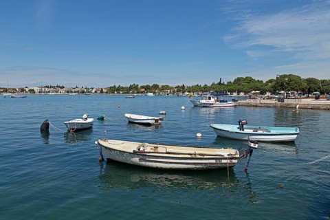 Boats in port