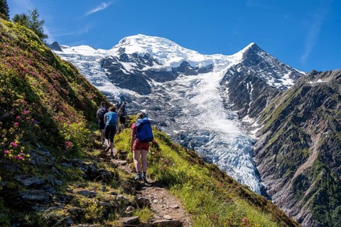 Hiker on hiking trail
