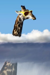 Giraffe with sunglasses with head above the clouds