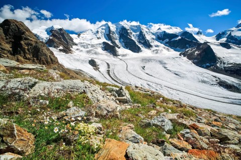 View from Diavolezza