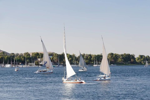 Feluccas on the river Nile