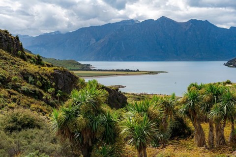 View of mountains and Lake Hawea with palm trees