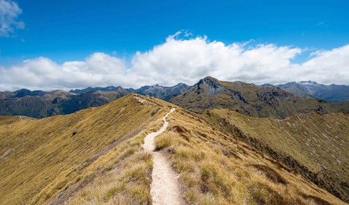 Kepler Track hiking trail