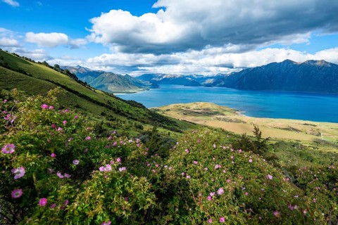 View of Lake Hawea