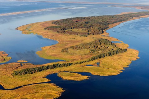 Aerial view of the Small Werder Islands in the National Park Vorpommersche Boddenlandschaft