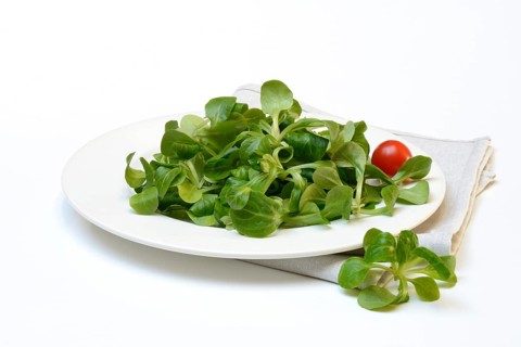 Corn salad
