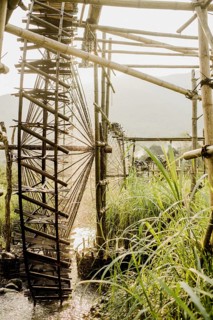 Irrigation of rice paddies with water wheels made of bamboo