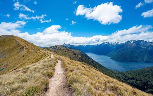 Kepler Track hiking trail