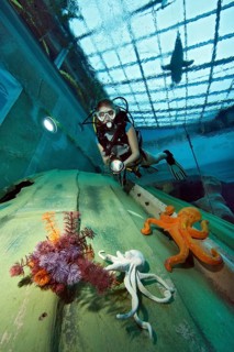 Diver in indoor diving pool