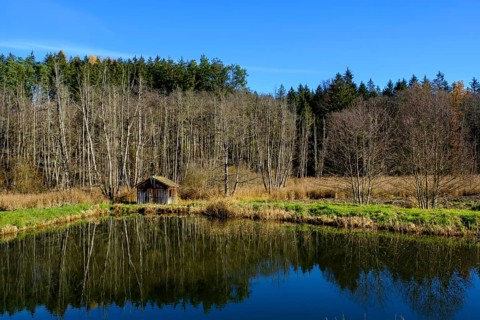 Fish pond in the Anhauser Valley