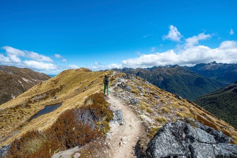 Hikers on hiking trail