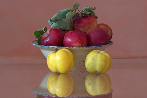 Still life