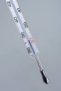 Clinical thermometer