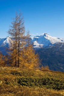 Autumnal mountain landscape with larches