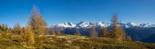 Autumn mountain landscape with larches