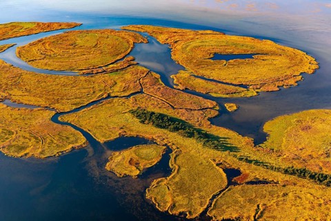 Aerial view of the Small Werder Islands in the National Park Vorpommersche Boddenlandschaft