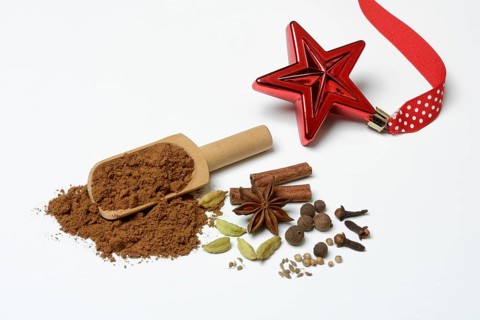 Gingerbread spice in shovel and ingredients