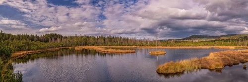 Chalupska slat bog