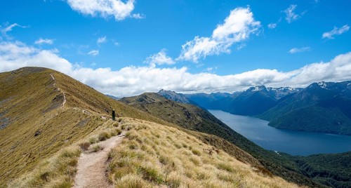 Hiker on Kepler Track