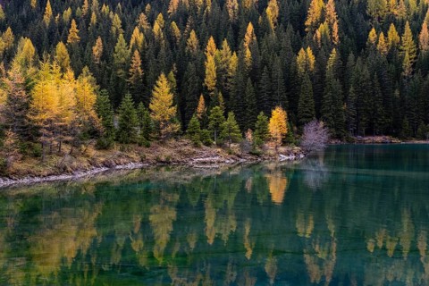 Autumn in the nature park Riedingtal