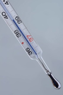 Clinical thermometer