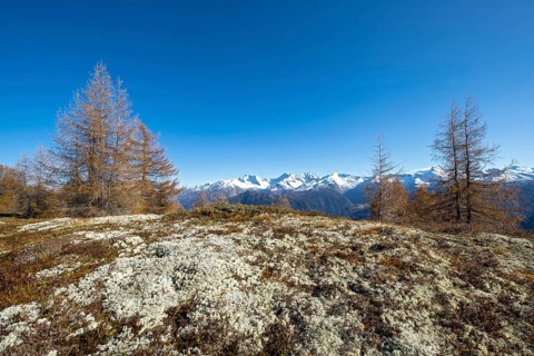 Autumnal mountain landscape