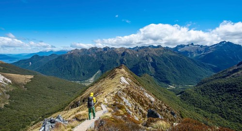 Hikers on hiking trail