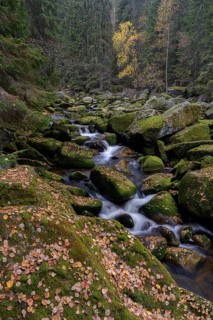 Autumn at the Vydra with huge boulders in the riverbed