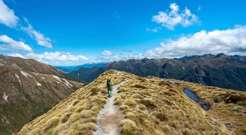 Hikers on hiking trail