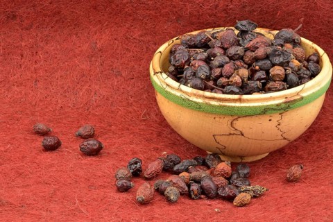 Dried rose hips of the dog rose