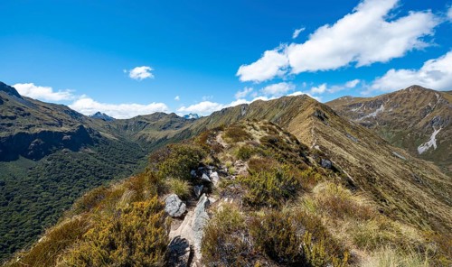 Kepler Track hiking trail