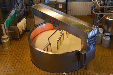 Large cheese maker with knife harps