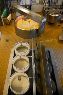 Large cheese maker and press moulds