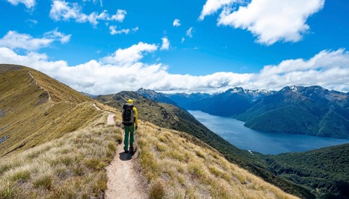 Hiker on trail