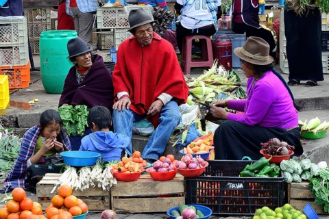 Sales stand with vegetables at the weekly market market