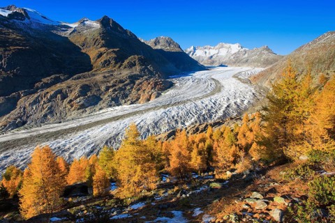 Great Aletsch Glacier and Wannenhorns