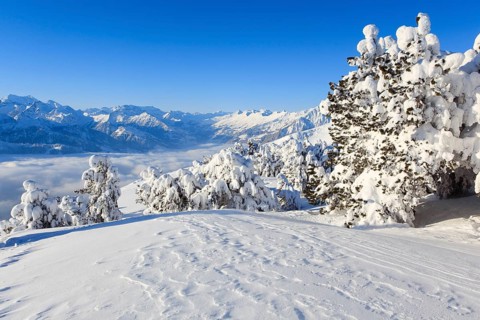 Bernese Alps