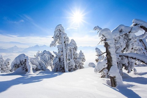 Bernese Alps