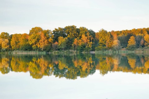 Burgaeschisee