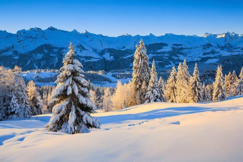 Central Swiss Alps