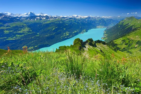 Brienzer Rothorn