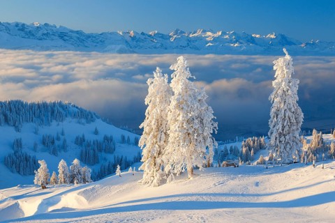 View from the Rigi