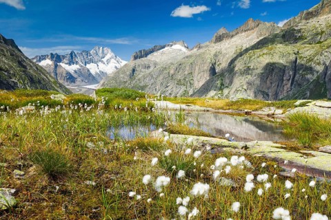 Swiss Alps in autumn