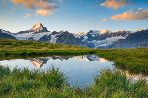 Schreckhorn