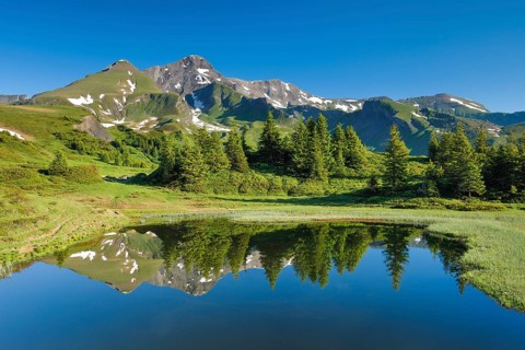 Chalberboden View of Schwarzhorn