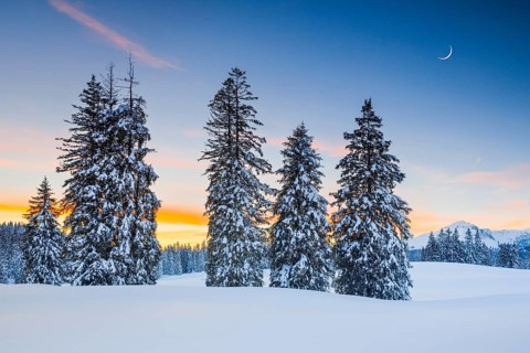 Sunset Alp Sellamatt