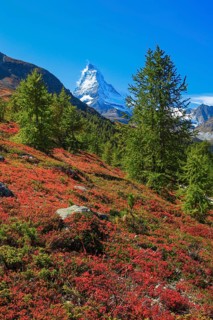 Matterhorn