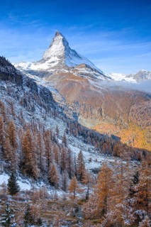 Matterhorn and larch