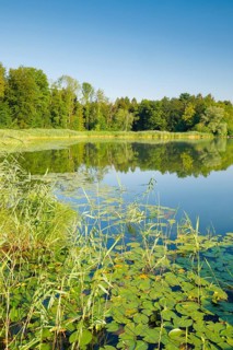 Burgaeschisee